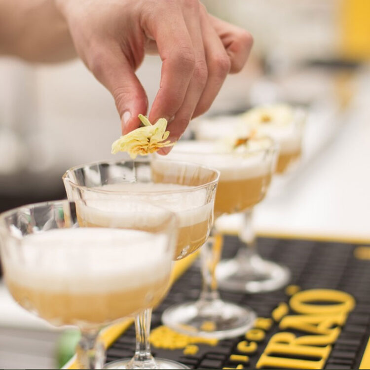 formacion-cocteleria